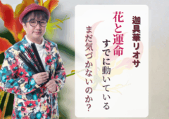 迦具華リオサブログアイキャッチ